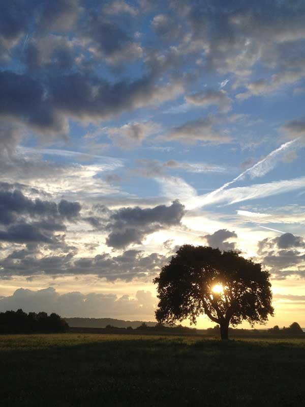 Baum und Wolkenstimmung bei Sonnenuntergang