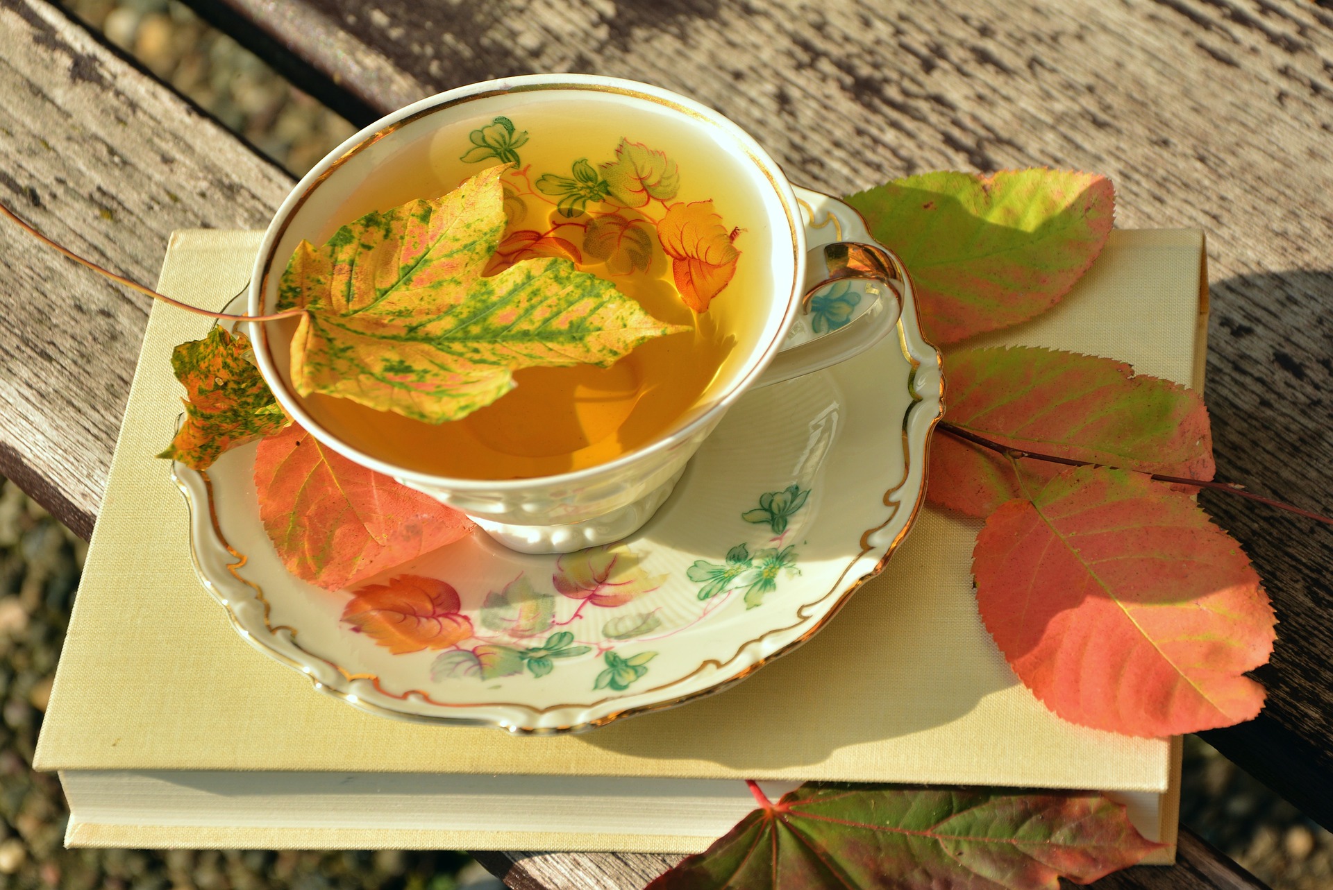 Teetasse mit herbstlichen Blättern auf einem Buch